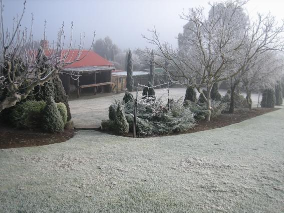 Vineyard Cottage Bnb Gumeracha Екстер'єр фото