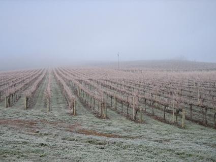 Vineyard Cottage Bnb Gumeracha Екстер'єр фото